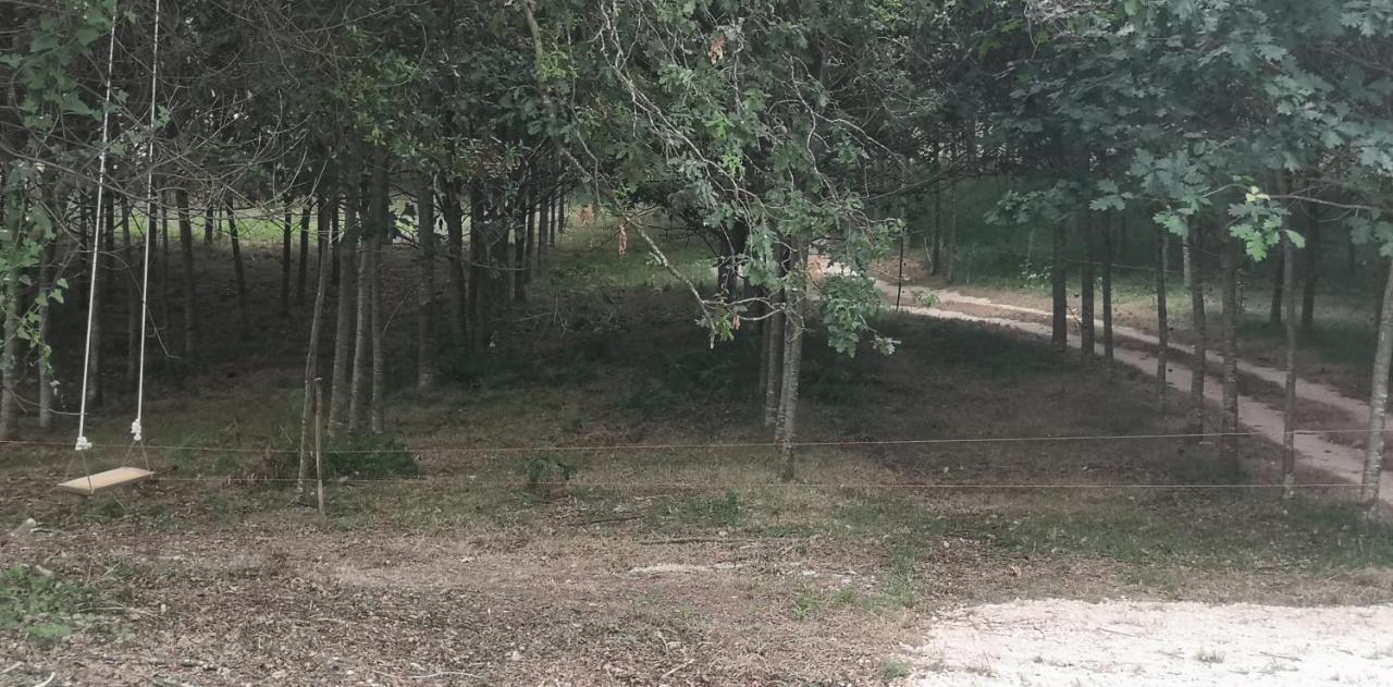 Вилла Quinta Do Soldado Албергария-а-Велья Экстерьер фото